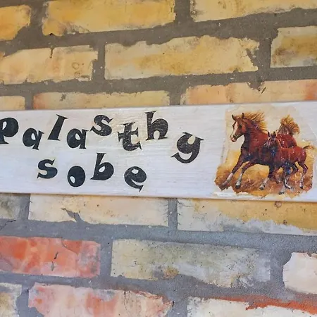 Sobe Palasthy Apartment Novi Becej
