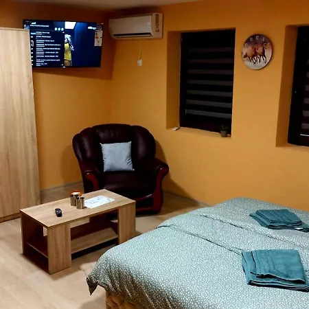 Apartment Sobe Palasthy Novi Becej