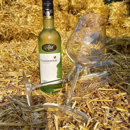 Sobe Palasthy Apartment Novi Becej