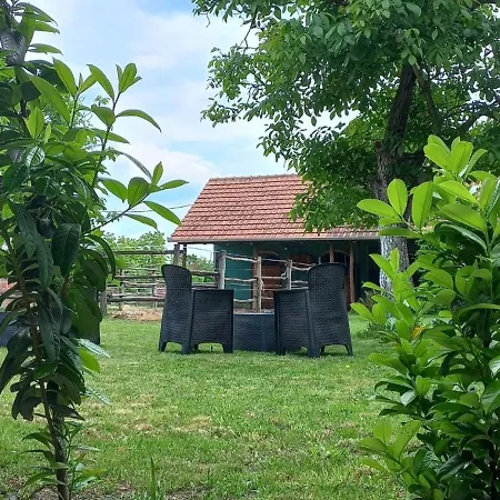 Apartment Sobe Palasthy *